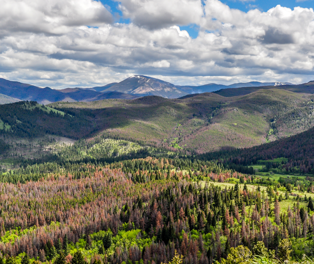 White clouds float in the blue skies above the Montana mountains outside of Helena.